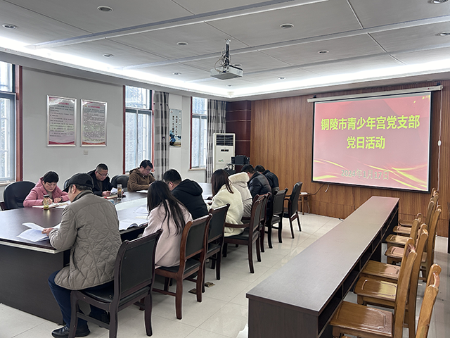 反腐倡廉 廉洁从业——铜陵市青少年宫开展主题党日活动